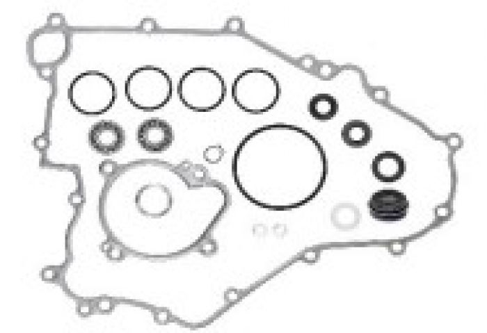 Bronco Water Pump Repair Kit AT-10075 - Complete water pump rebuild kit with seals and gaskets - Click Image to Close