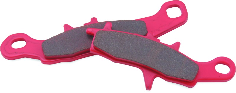 BikeMaster Sintered Front Brake Pads Fits Kawasaki - Click Image to Close