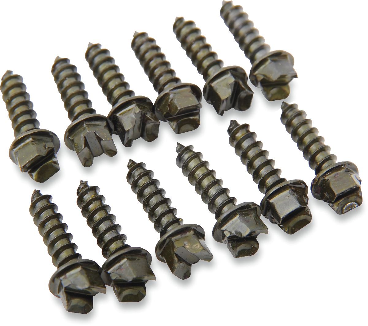 5/8" PRO Gold Screws, Coarse - 250 Pack - Motorcycle & ATV Ice Racing Studs - Click Image to Close