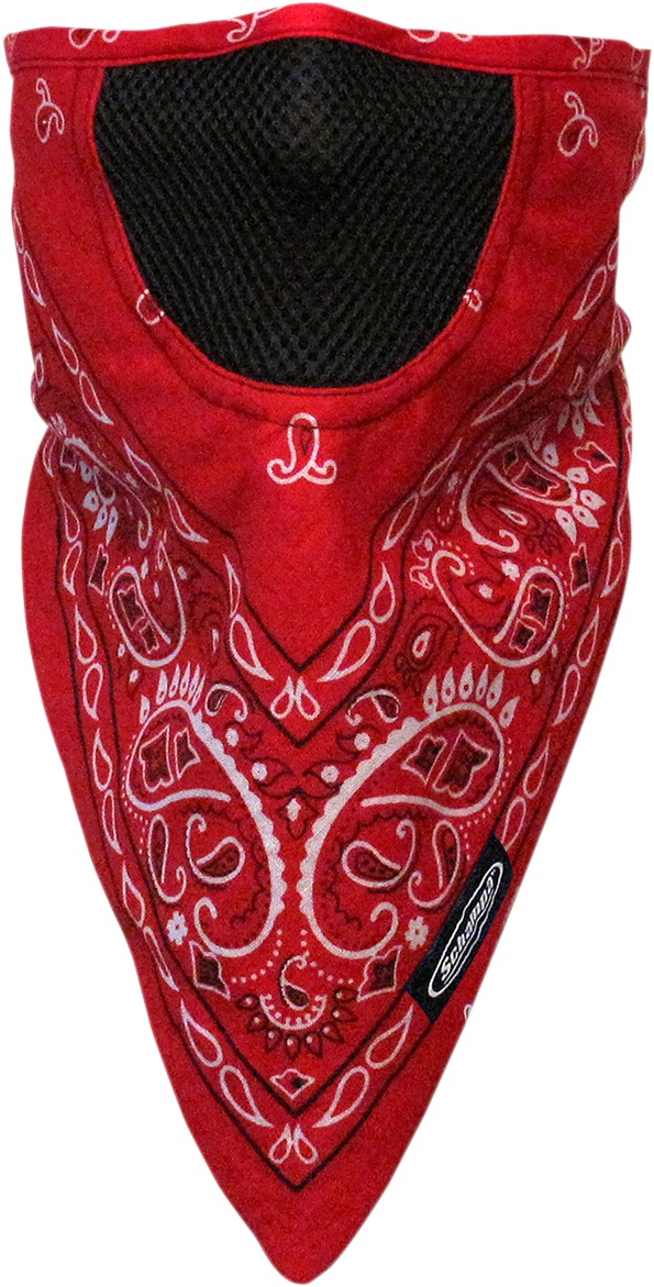 FaceFit Facemask Red Paisley Hook/Loop by Schampa & Dirt Skins - Click Image to Close