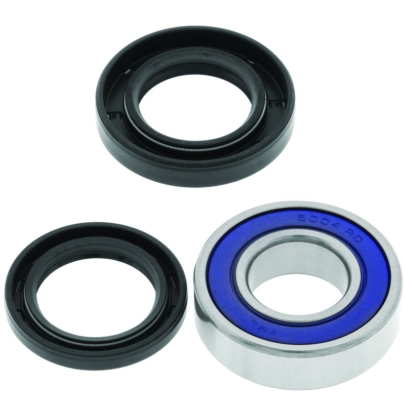 93-00 Honda TRX300 FourTrax Lower Steering Bearing Kit - Click Image to Close