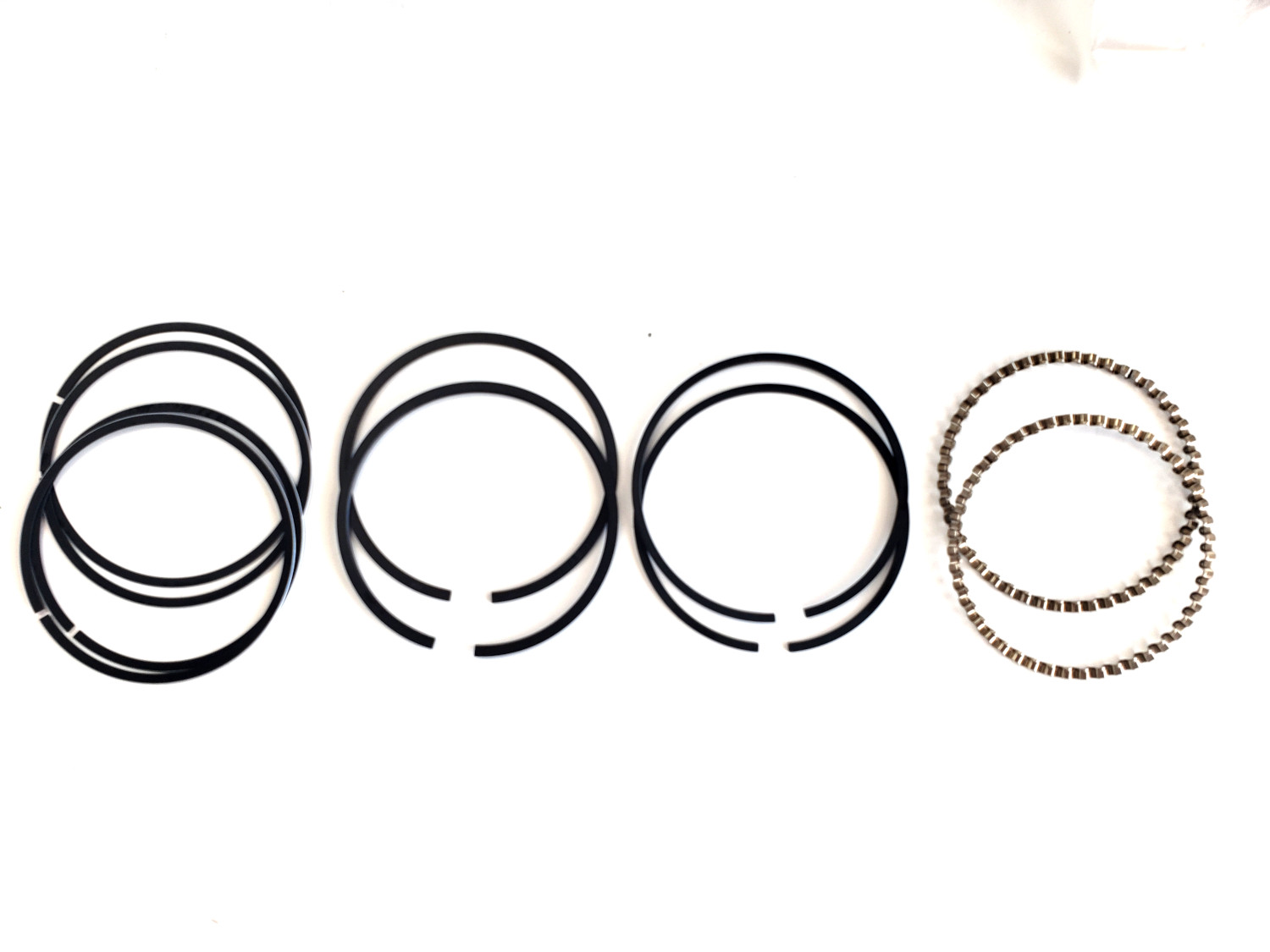 Hastings Moly Piston Rings +.010" Fits 1340/1200cc Evo Sportster *Open Box* - Click Image to Close