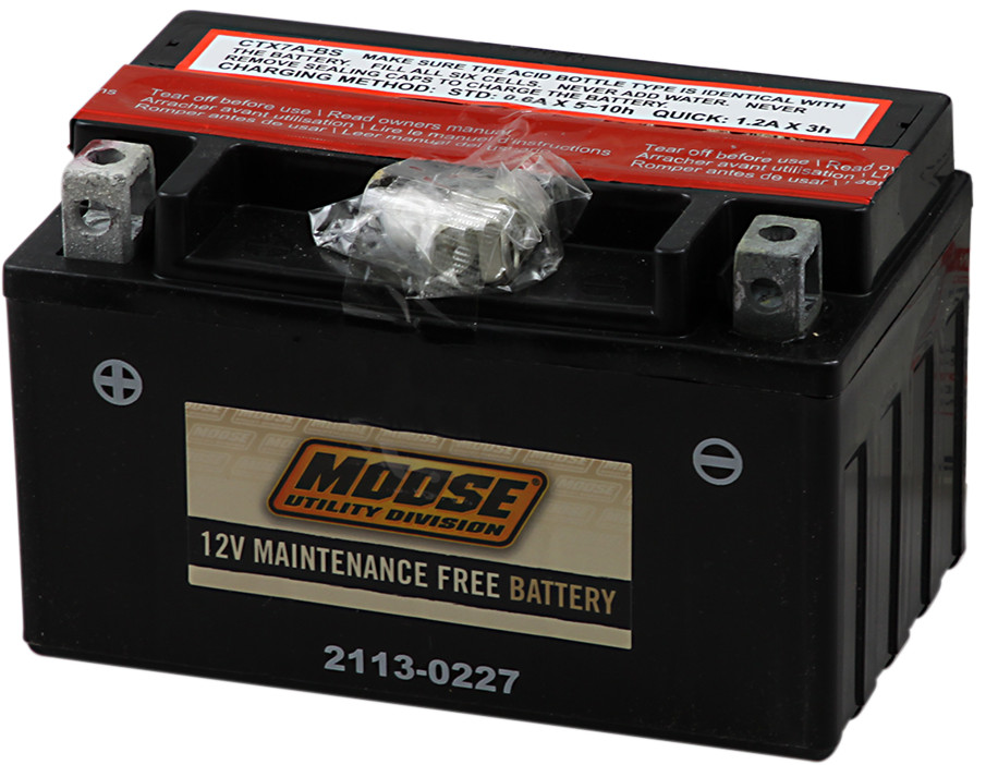 YTX AGM Maintenance Free Battery 105CCA 12V 6Ah - Replaces YTX7A-BS - Click Image to Close