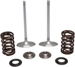 Kibblewhite SS Intake Valve & Spring Kit Fits KX250F