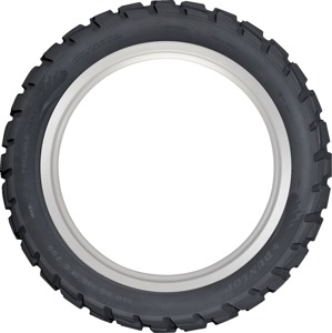 Trailmax Raid Rear Tire - 170/60R17 M/C 72T TL