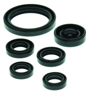 QuadBoss Oil Seal Set For 04-13 Yamaha YFZ450