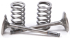 Steel Exhaust Valve/Spring Kit - For 03-14 Yamaha WR450F YZ450F Steel Exhaust Valve/Spring Kit - For 03-14 Yamaha WR450F YZ450F
