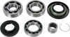 Moose Rear Diff Bearing/Seal Kit For Honda TRX420 09-14 - Rear diff kit for Honda TRX420 09-14
