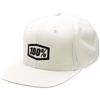 100% Icon Hat Silgry 100% Icon Hat Silgry