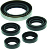 QuadBoss Oil Seal Set For 06-07 Polaris Outlaw 500