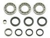 Bronco Differential Bearing and Seal Kit - Complete bearing and seal kit for differential rebuild