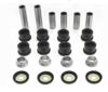 Bronco Rear Independent Suspension Kit - Suspension rebuild kit for rear A-arm & knuckle