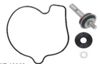 Bronco Water Pump Repair Kit AT-10062 - Complete kit with gaskets, seals, shaft, bearings