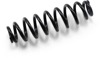 EPI Rear HD Suspension Spring WE325130 Fits 18-20 Ranger XP EPI Rear HD Suspension Spring WE325130 Fits 18-20 Ranger XP