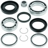 07-13 Honda TRX420FM/FE FourTrax Rancher 4x4/ES (02) Rear Differential Bearing & Seal Kit