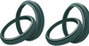 Complete Fork Oil & Dust Seal Kit For 46 mm Sachs Forks Complete Fork Oil & Dust Seal Kit For 46 mm Sachs Forks