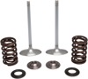 Kibblewhite SS Intake Valve & Spring Kit Fits KX250F