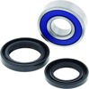06-09 Arctic Cat 250 2x4 Lower Steering Bearing Kit