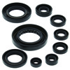QuadBoss Oil Seal Set For 15-20 Honda SXS500 Pioneer - Fits 15-20 Honda SXS500 Pioneer