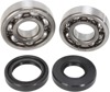 Main Bearings and Seal Kits - Bearing/Seal Kit Yz80 93-01