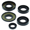QuadBoss Oil Seal Set for 03-06 Kawasaki KFX80 - For 2003-2006 Kawasaki KFX80