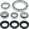 QuadBoss Front Diff Bearing & Seal Kit for 01-02 Arctic Cat 250 - For 01-02 Arctic Cat 250 4x4 Front Differential