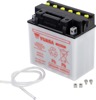 Yuasa YB16CL-B Yumicron 12 Volt Battery