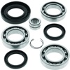 14-21 Honda TRX420FA1 FourTrax Rancher 4x4 AT DCT Rear Differential Bearing & Seal Kit