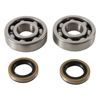 Hot Rods Main Bearing & Seal Kit Fits 1980-1981 Kawasaki KX125