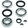 QuadBoss Rear Diff Bearing & Seal Kit For 2002 Polaris Pro 500 - For 2002 Polaris ATV Pro 500 4x4 PPS rear differential