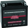 Twin Power YTX-14L High Performance Battery 200 CCA - Replaces H-D 65958-04, 200 CCA, Made in USA