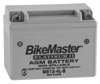 AGM Platinum II Motorcycle & Scooter Battery - Replaces YB4L-B, YTX4L-BS