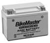 AGM Platinum II Battery - Replaces YTX9-BS