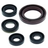 06-09 Suzuki LT-R450 QuadRacer Oil Seal Set