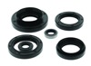 15-20 Kawasaki KVF750 Brute Force/EPS Oil Seal Set