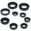QuadBoss Oil Seal Set for 81-83 Honda ATC200