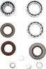 Moose Rear Differential Bearing/Seal Kit For Polaris ATVs - Rear diff bearing/seal kit For Polaris ATVs
