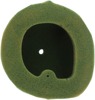 Twin Air Pre-Oiled Air Filter