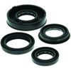 QuadBoss Oil Seal Set for 04-06 Polaris Predator 50 - Fits 04-06 Polaris Predator 50
