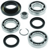 QuadBoss Rear Diff Bearing & Seal Kit For 05-14 TRX500FA - For 05-14 Honda TRX500FA FourTrax Foreman Rubicon
