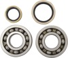 Hot Rods Main Bearing & Seal Kit Fits 1996-2002 Suzuki RM250