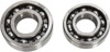 Hot Rods Counter Balancer Bearing Kit BBK0021