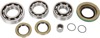 Moose Rear Differential Bearing/Seal Kit For Can-Am 2011-2015 - Rear diff bearing/seal kit for Can-Am 2011-2015