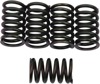 Barnett Heavy Duty Clutch Spring Kit