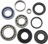 Moose Rear Differential Bearing/Seal Kit for Suzuki LT-Z/LT-F - Fits Suzuki LT-Z 250 & LT-F 250 Ozark rear differential
