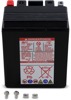 Yuasa YTX14L AGM Maintenance Free 12V Battery - AGM 12V battery, maintenance free, For select Harley & Can-Am