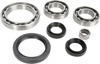 Moose Rear Differential Bearing/Seal Kit For Yamaha Grizzly/Kodiak - Rear differential kit for Yamaha Grizzly/Kodiak