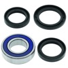 01-14 Honda TRX500FA FourTrax Foreman Rubicon 4x4 AT (2) Lower Steering Bearing Kit