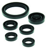 QuadBoss Oil Seal Set For 04-13 Yamaha YFZ450