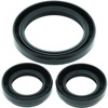 07-11 Yamaha YFM350 Grizzly 4x4 IRS Front Differential Seal Kit